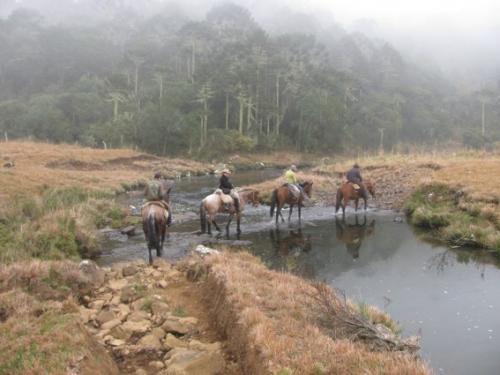 Cavalgadas nos Aparados da Serra - Foto: Joelma Bernada