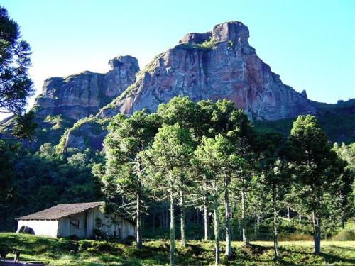 Pedra da Aguia - Urubici - SC. Foto: Luiz Fernando Guglielmi