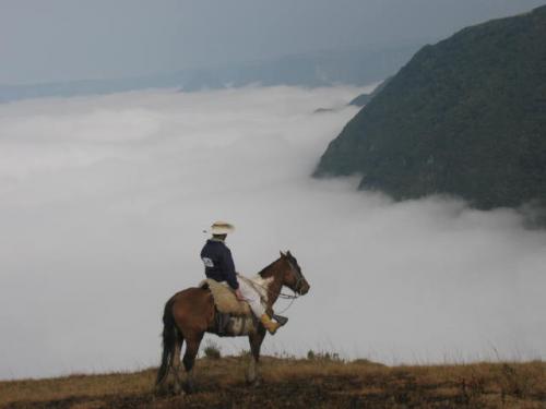 Cavalgadas nos Aparados da Serra - Foto: Joelma Bernada